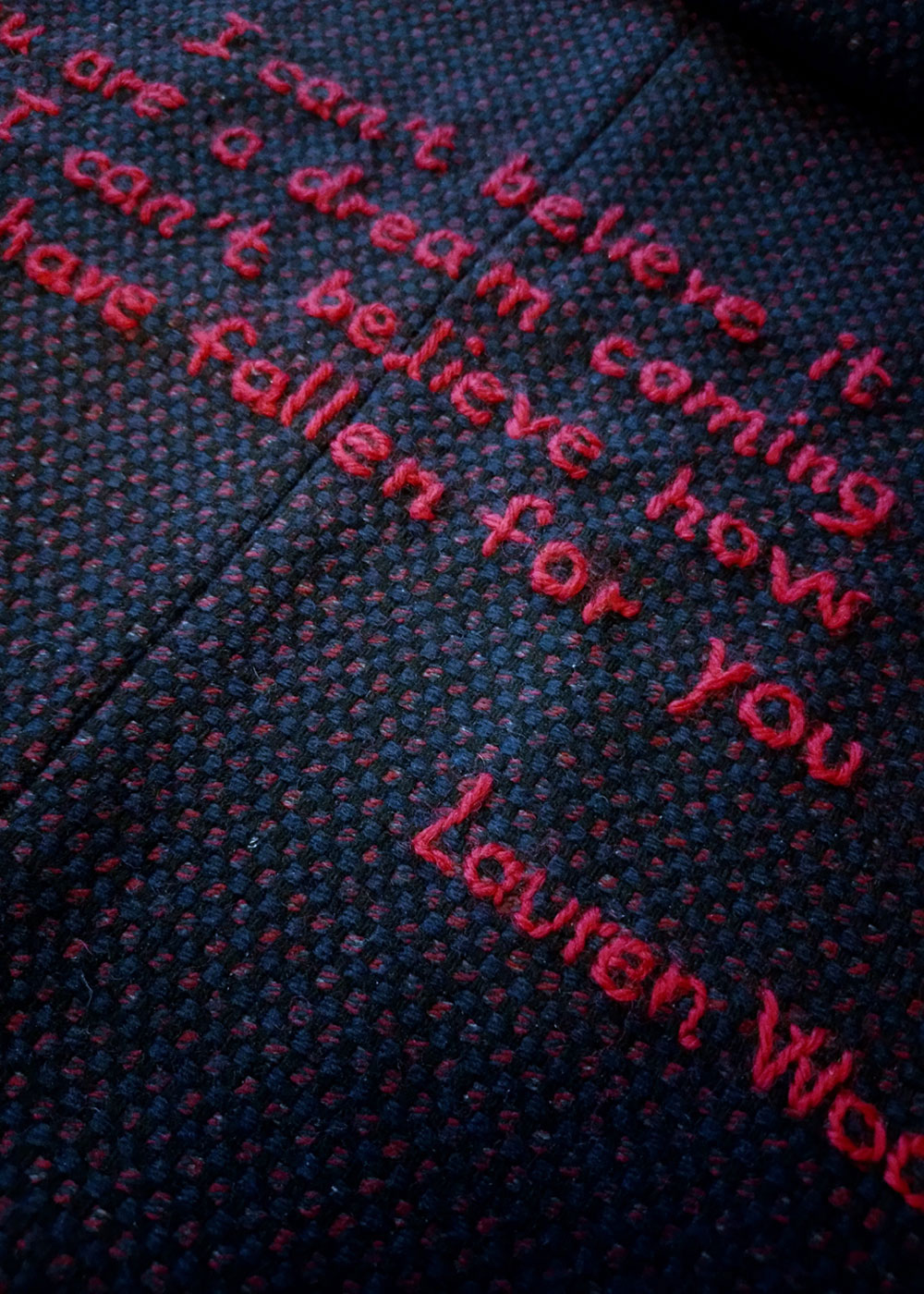 Heidi-trusbak-fallen-back-embroidery